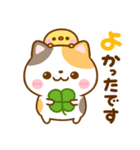 ねこねこにゃんこ♡思いやりメッセージ（個別スタンプ：12）