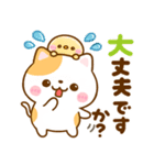 ねこねこにゃんこ♡思いやりメッセージ（個別スタンプ：23）