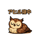 かわいいアフリカワシミミズク(フクロウ)3（個別スタンプ：2）