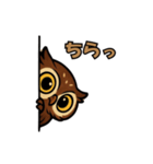 かわいいアフリカワシミミズク(フクロウ)3（個別スタンプ：15）