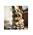 表情豊かなシェパードの日常トーク（個別スタンプ：1）