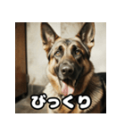 表情豊かなシェパードの日常トーク（個別スタンプ：3）