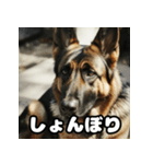 表情豊かなシェパードの日常トーク（個別スタンプ：4）