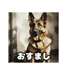 表情豊かなシェパードの日常トーク（個別スタンプ：5）