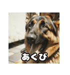 表情豊かなシェパードの日常トーク（個別スタンプ：7）