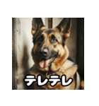 表情豊かなシェパードの日常トーク（個別スタンプ：9）