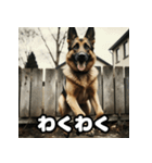 表情豊かなシェパードの日常トーク（個別スタンプ：11）