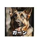 表情豊かなシェパードの日常トーク（個別スタンプ：13）