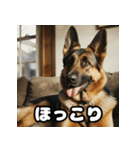 表情豊かなシェパードの日常トーク（個別スタンプ：14）
