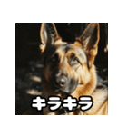 表情豊かなシェパードの日常トーク（個別スタンプ：16）