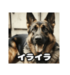 表情豊かなシェパードの日常トーク（個別スタンプ：18）
