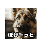 表情豊かなシェパードの日常トーク（個別スタンプ：19）