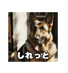表情豊かなシェパードの日常トーク（個別スタンプ：23）
