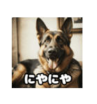 表情豊かなシェパードの日常トーク（個別スタンプ：26）