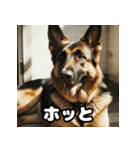 表情豊かなシェパードの日常トーク（個別スタンプ：27）