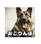 表情豊かなシェパードの日常トーク（個別スタンプ：31）