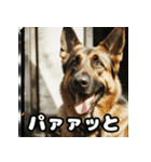 表情豊かなシェパードの日常トーク（個別スタンプ：32）