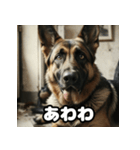 表情豊かなシェパードの日常トーク（個別スタンプ：33）