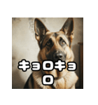 表情豊かなシェパードの日常トーク（個別スタンプ：34）