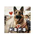 表情豊かなシェパードの日常トーク（個別スタンプ：37）