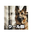 表情豊かなシェパードの日常トーク（個別スタンプ：40）