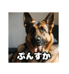 愛嬌たっぷりシェパードの表情スタンプ（個別スタンプ：6）