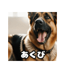 愛嬌たっぷりシェパードの表情スタンプ（個別スタンプ：7）