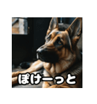 愛嬌たっぷりシェパードの表情スタンプ（個別スタンプ：19）