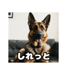 愛嬌たっぷりシェパードの表情スタンプ（個別スタンプ：23）