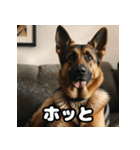 愛嬌たっぷりシェパードの表情スタンプ（個別スタンプ：27）