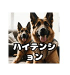 愛嬌たっぷりシェパードの表情スタンプ（個別スタンプ：35）