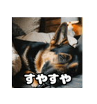 愛嬌たっぷりシェパードの表情スタンプ（個別スタンプ：36）