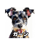 表情豊かなミニチュアシュナウザースタンプ（個別スタンプ：17）