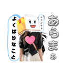 氏欄家堂ちゃんスタンプ（個別スタンプ：32）