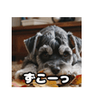 水彩タッチのゆるかわスタンプ40（個別スタンプ：30）