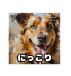 表情豊かなシェパードの毎日スタンプ（個別スタンプ：1）