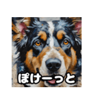 表情豊かなシェパードの毎日スタンプ（個別スタンプ：19）