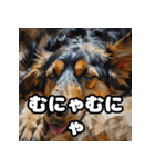 表情豊かなシェパードの毎日スタンプ（個別スタンプ：39）