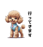 あなたへ贈る花束、プードル、普段使い♡（個別スタンプ：9）