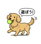 ミニチュアダックス (ロング＋イエロー）（個別スタンプ：1）