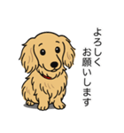 ミニチュアダックス (ロング＋イエロー）（個別スタンプ：3）