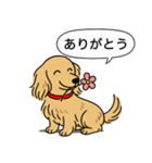 ミニチュアダックス (ロング＋イエロー）（個別スタンプ：5）