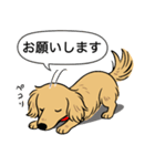 ミニチュアダックス (ロング＋イエロー）（個別スタンプ：7）