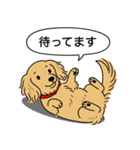 ミニチュアダックス (ロング＋イエロー）（個別スタンプ：10）