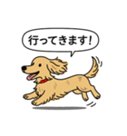 ミニチュアダックス (ロング＋イエロー）（個別スタンプ：13）