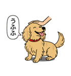 ミニチュアダックス (ロング＋イエロー）（個別スタンプ：19）