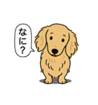 ミニチュアダックス (ロング＋イエロー）（個別スタンプ：22）