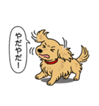 ミニチュアダックス (ロング＋イエロー）（個別スタンプ：23）