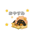 可愛い～被り物ワンワンだワン♪（個別スタンプ：4）
