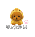 可愛い～被り物ワンワンだワン♪（個別スタンプ：17）